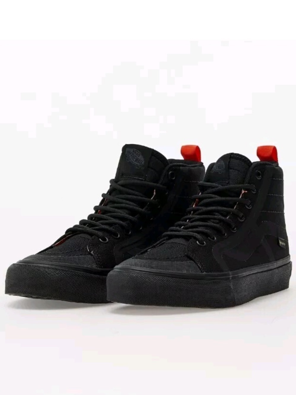 Gore Tex Vans Raeburn VR3